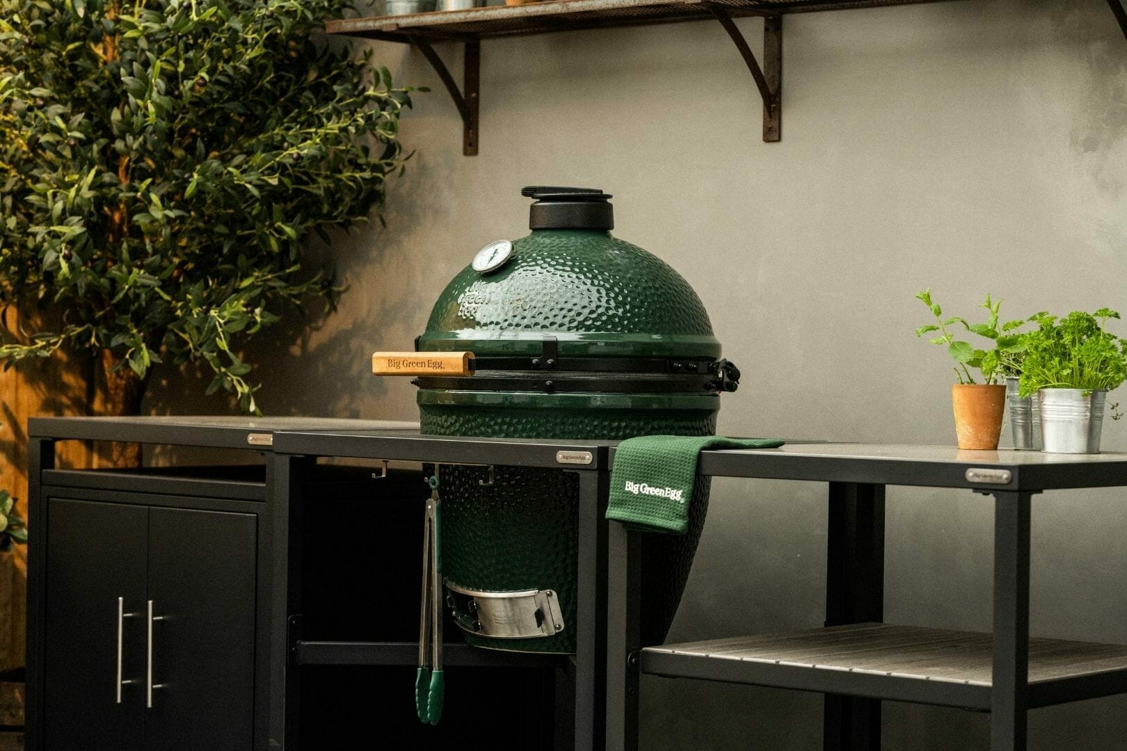 Big Green Egg BBQ